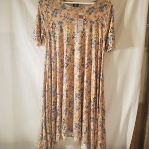 Agnes and Dora Brand New Joplin Dress Peach Green